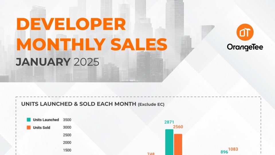 Monthly Developer Sales Jan 2025